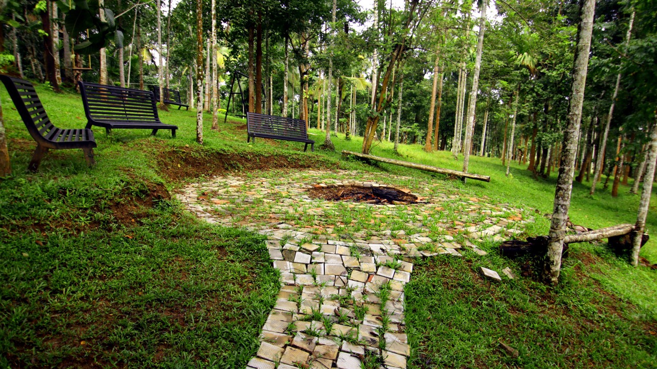 Photo of Outdoor in Sulthan Bathery