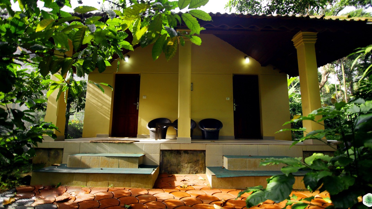 Photo of Outdoor in Sulthan Bathery