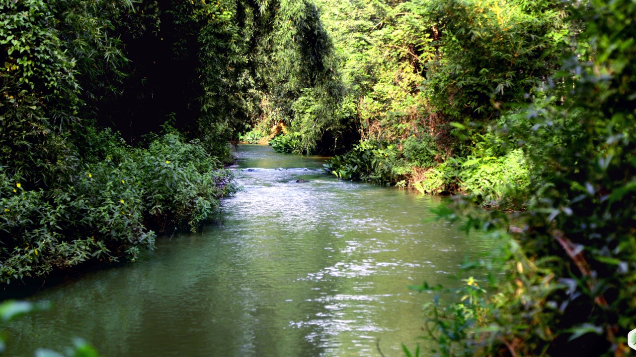 Photo of Outdoor in Sulthan Bathery