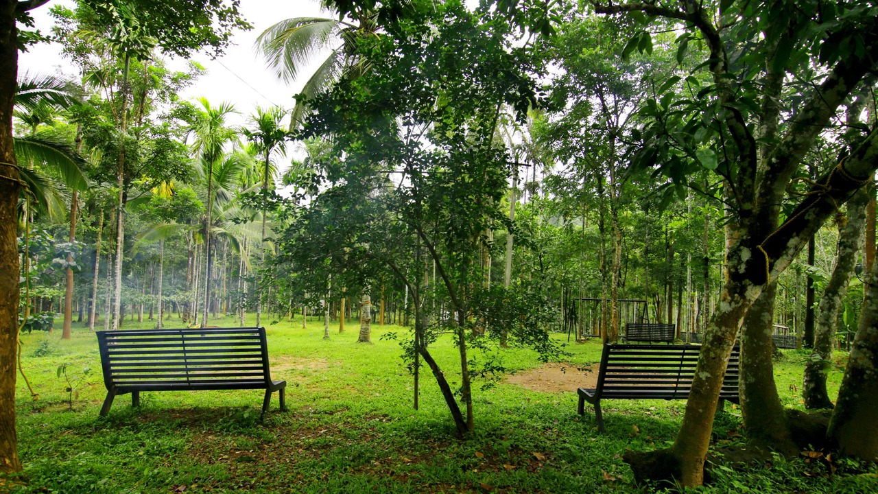 Photo of Outdoor in Sulthan Bathery