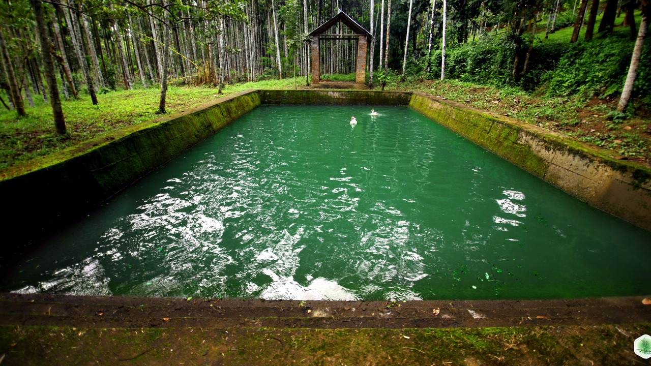 Photo of Outdoor in Sulthan Bathery
