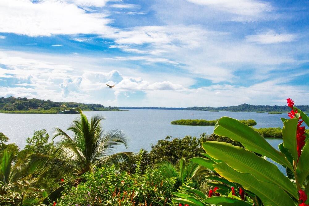 Photo of Outdoor in Isla Bastimentos