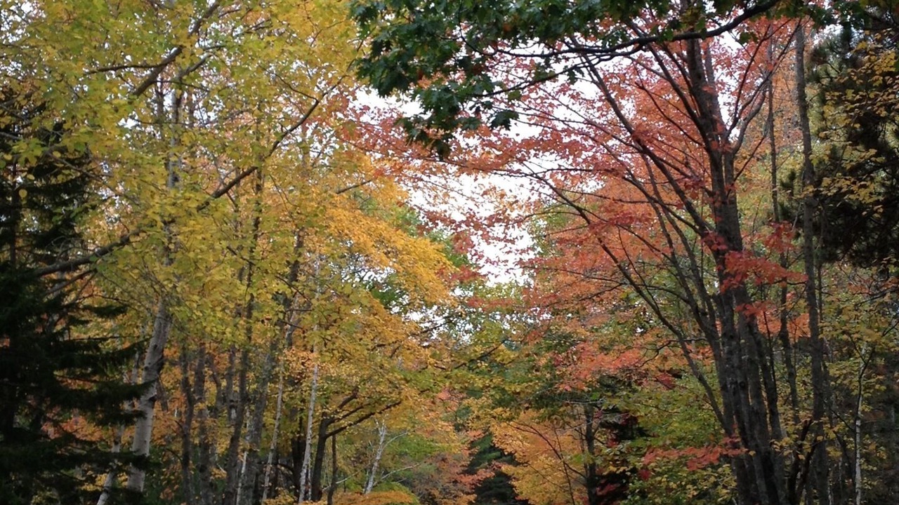 Photo of Outdoor in Ellsworth