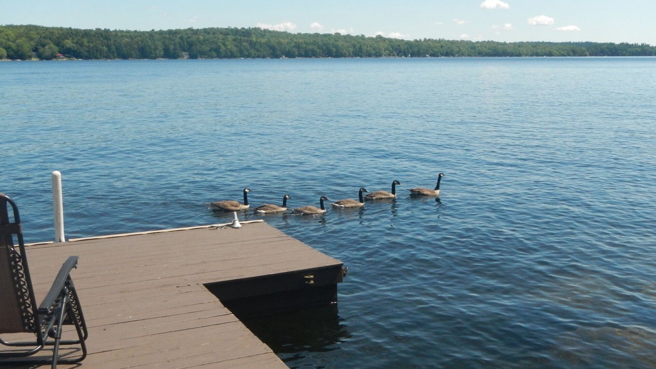 Photo of Others in Ellsworth