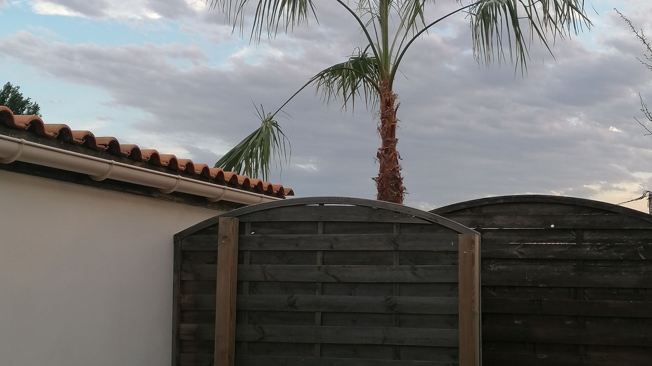 Photo of Outdoor in Castelnau-de-Medoc