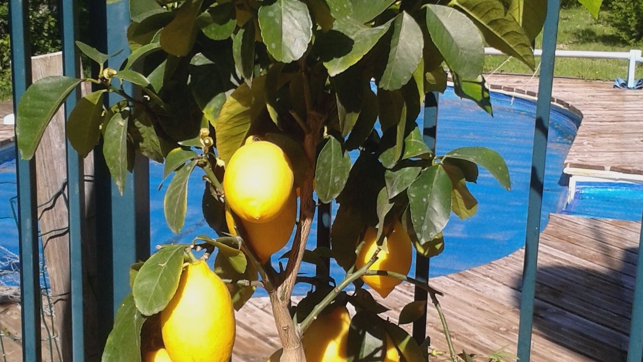Photo of Outdoor in Quillan