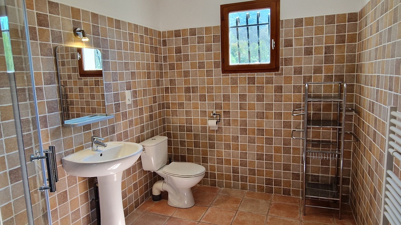 Photo of Bathroom in Quillan