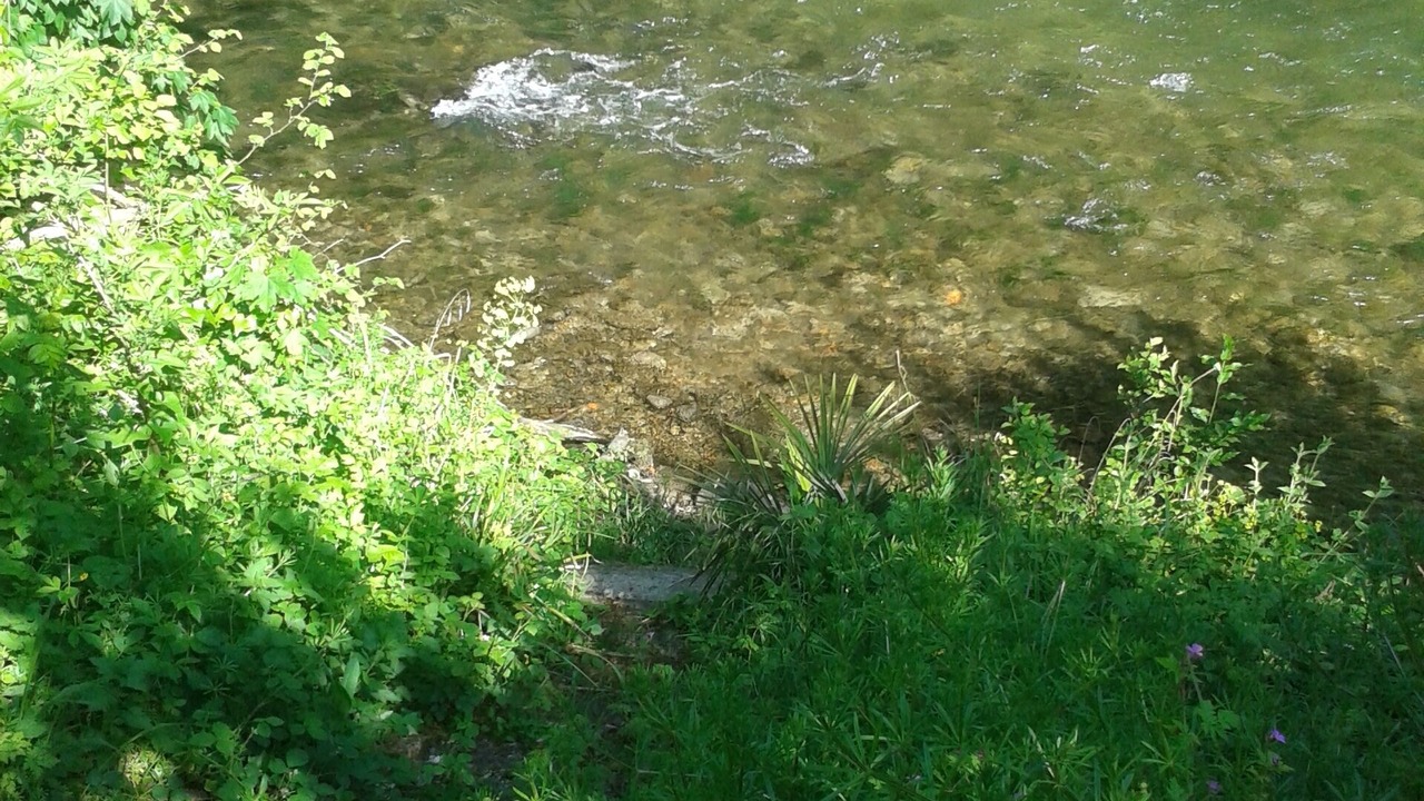 Photo of Others in Quillan