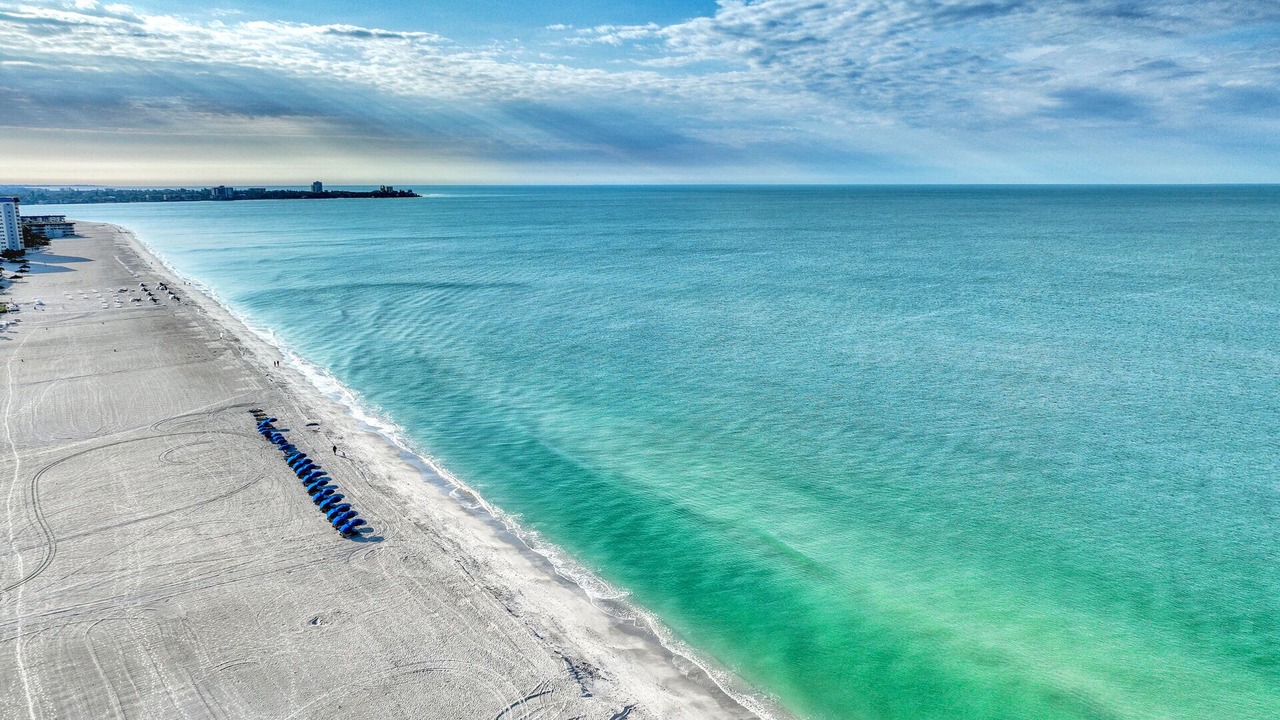 Photo of Others in Sarasota