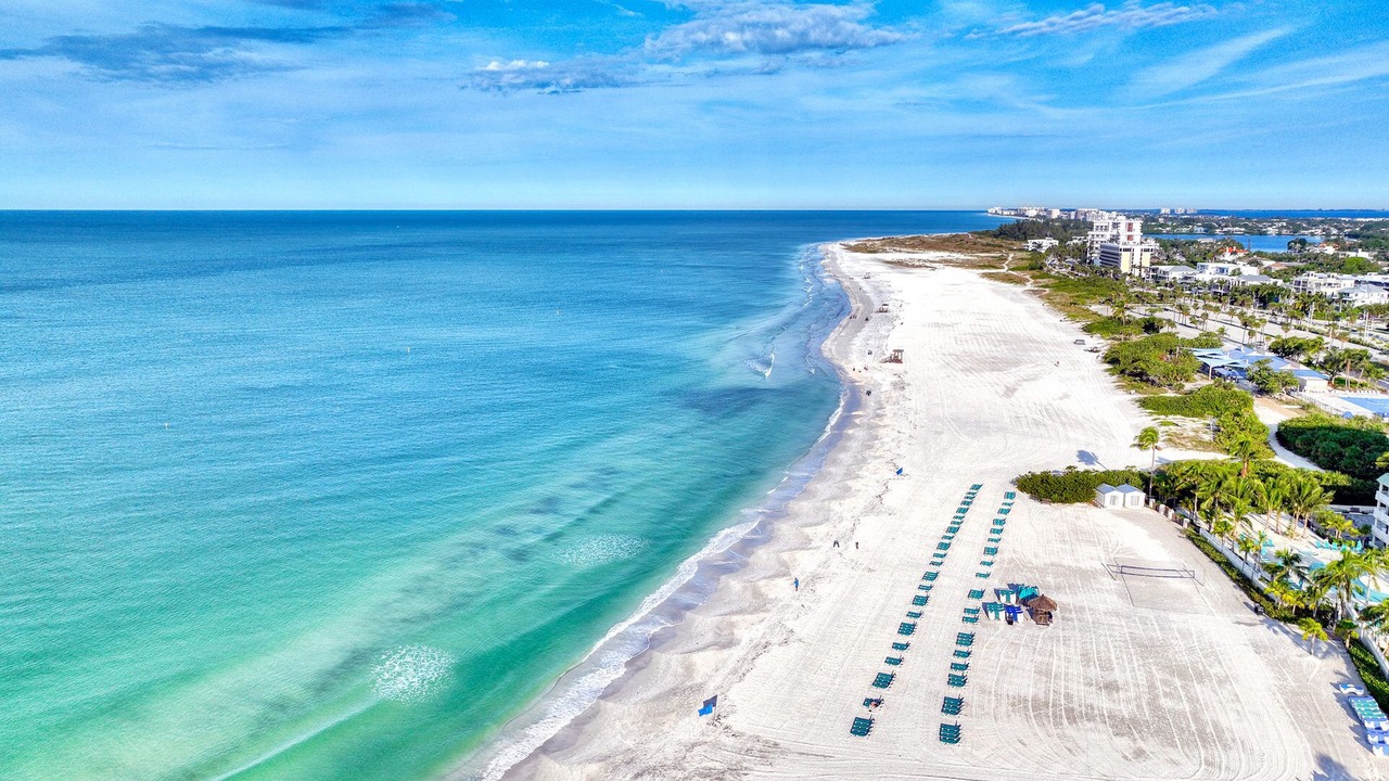 Photo of Others in Sarasota