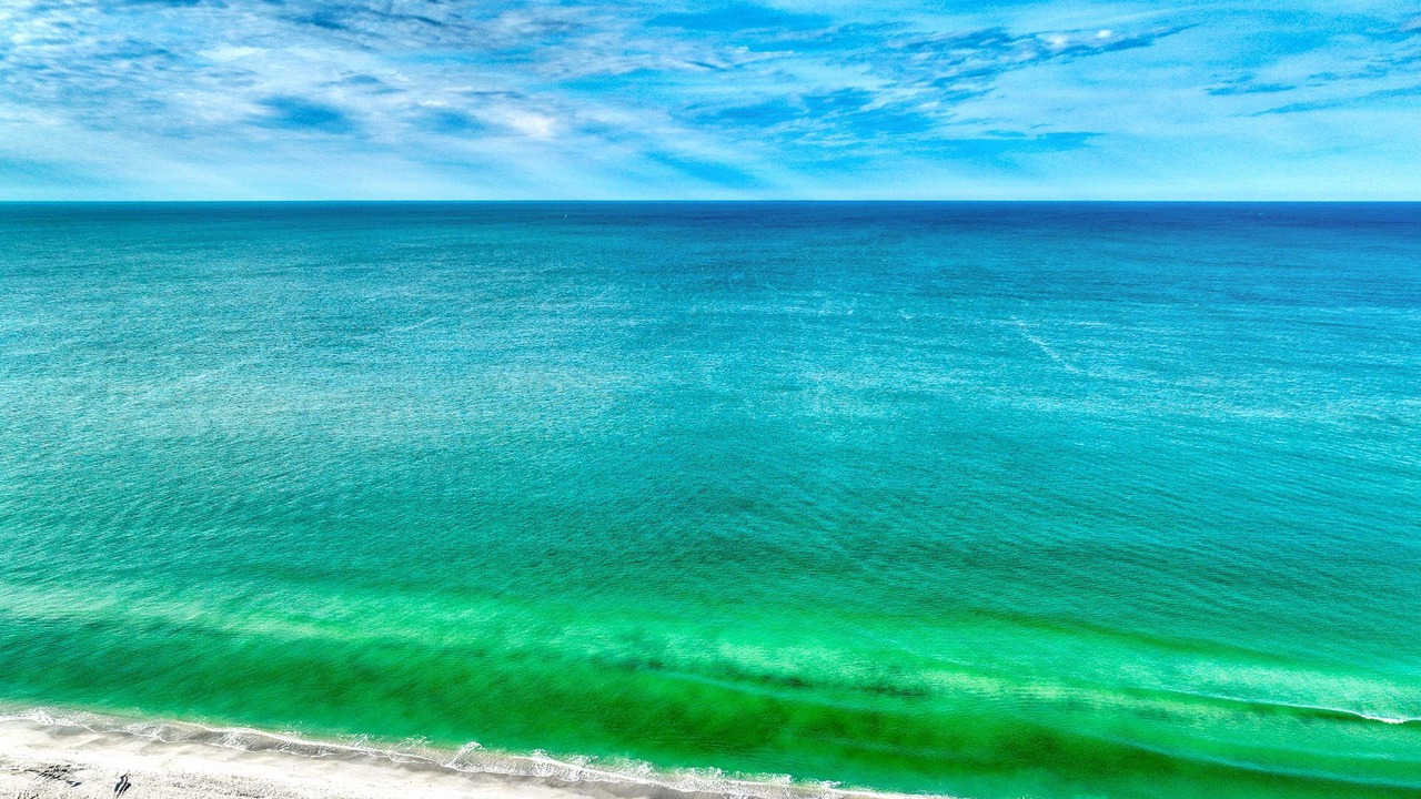 Photo of Others in Sarasota