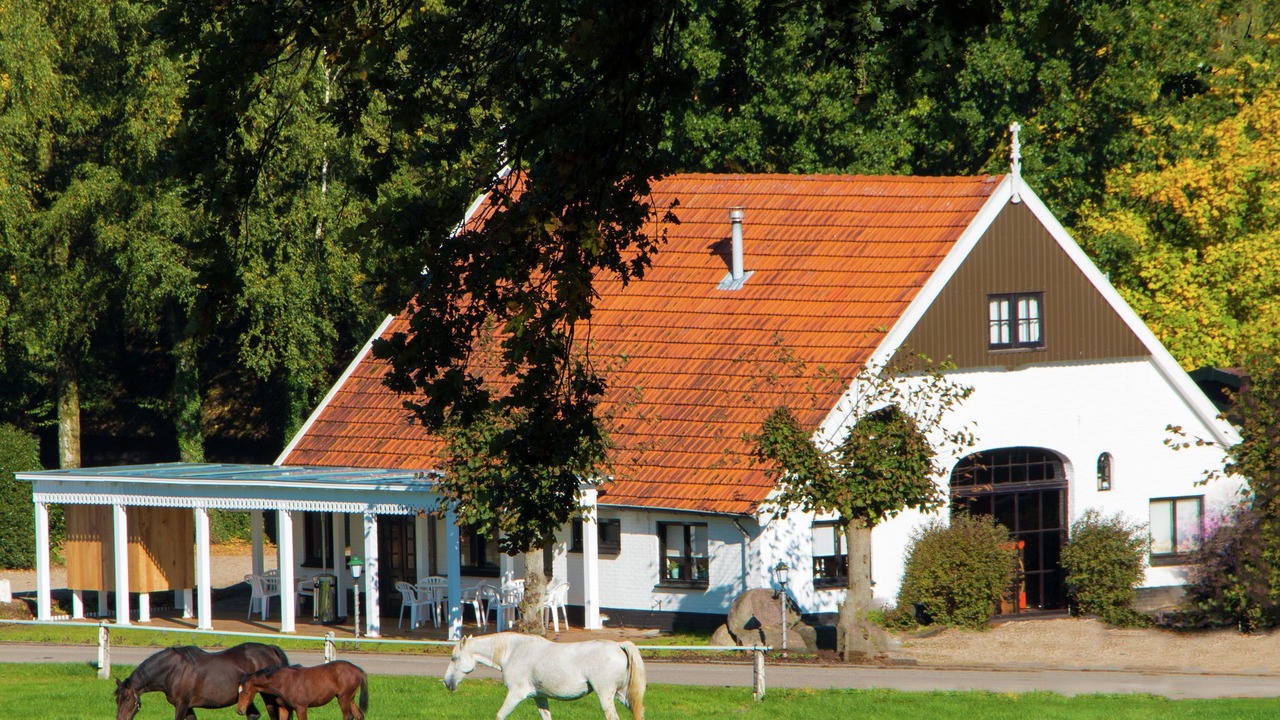 Photo of Outdoor in Ootmarsum