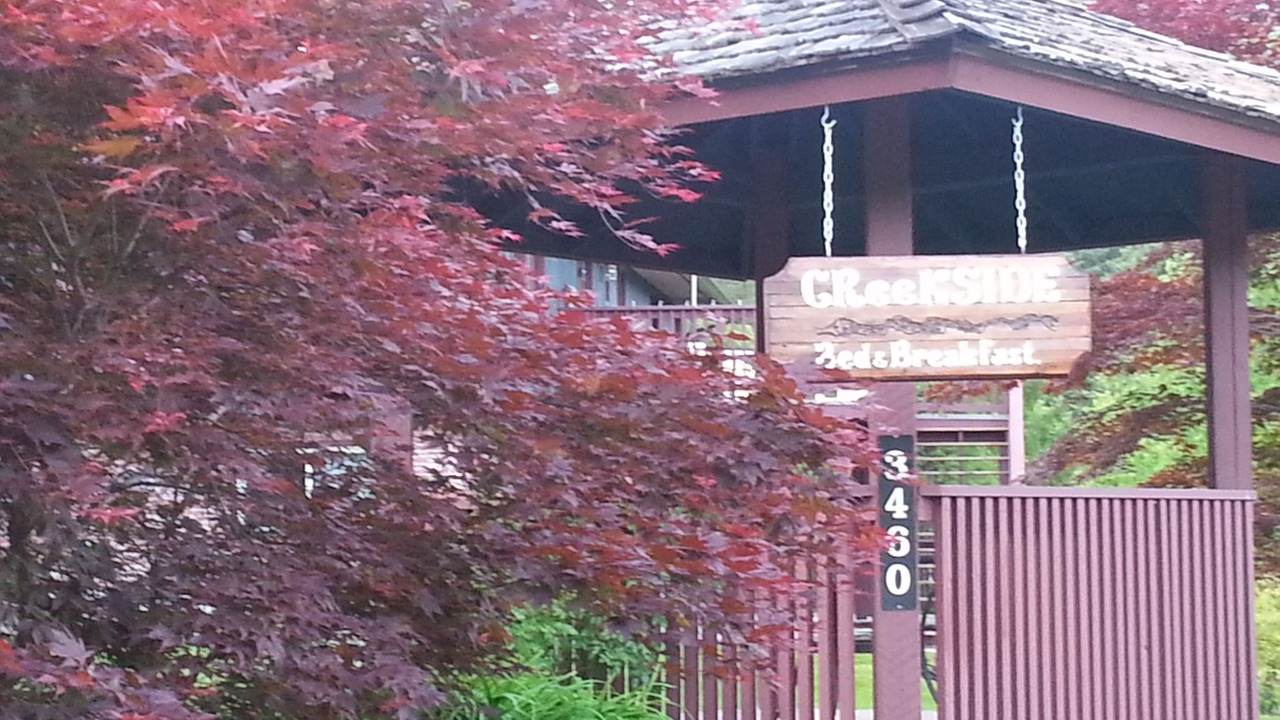 Photo of Outdoor in Nelson