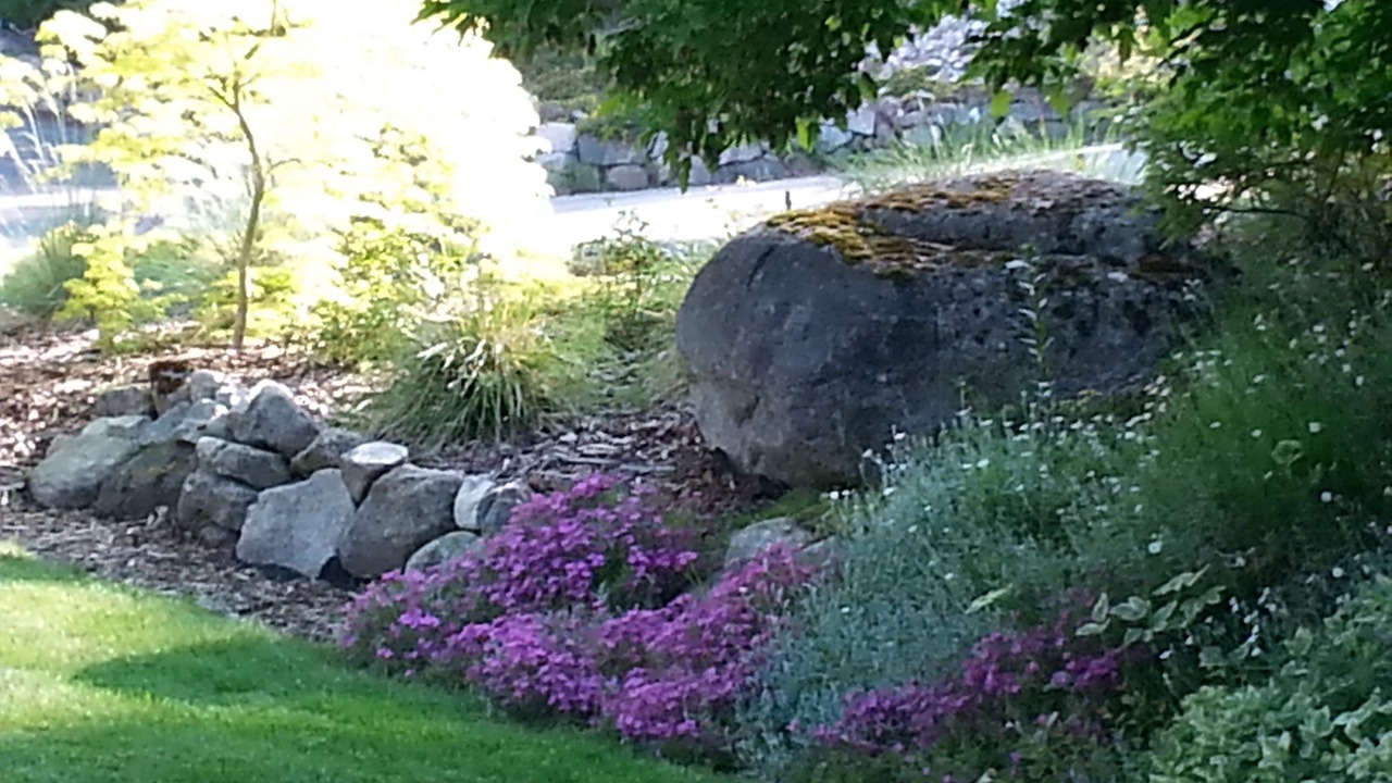 Photo of Outdoor in Nelson