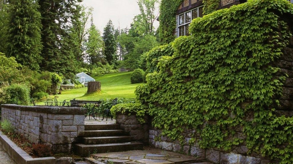 Photo of Outdoor in Nelson