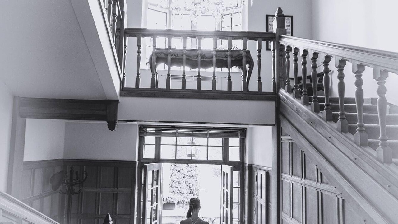 Photo of Others in Nelson