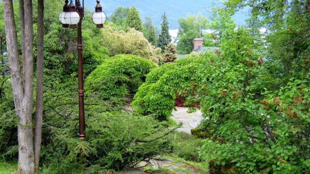 Photo of Outdoor in Nelson