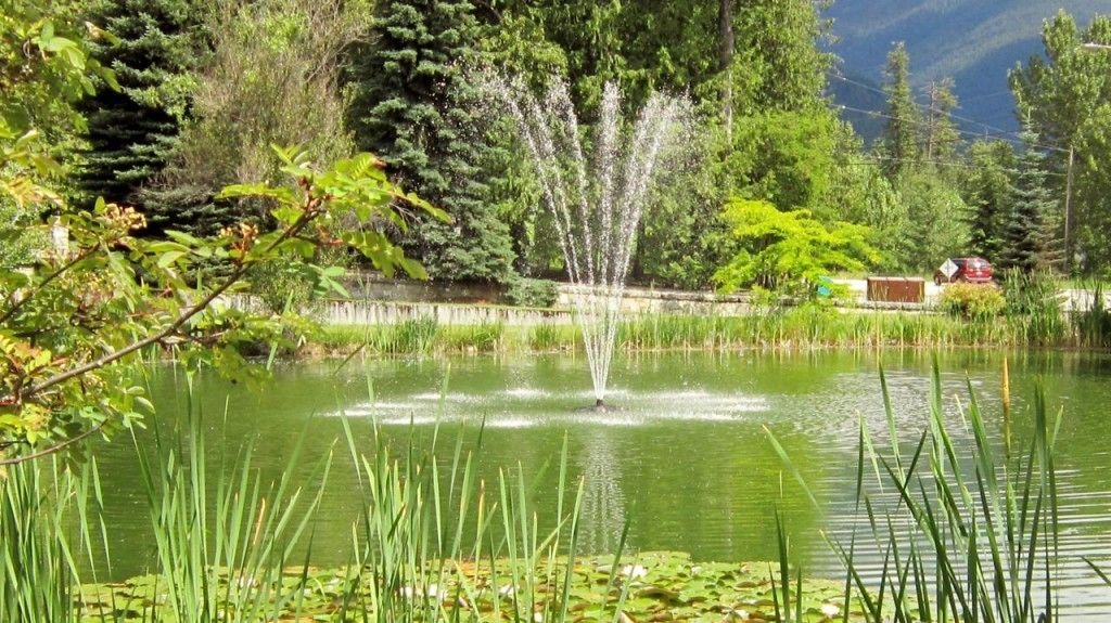 Photo of Outdoor in Nelson