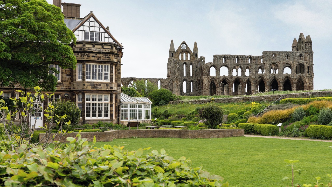 Photo of Outdoor in Whitby