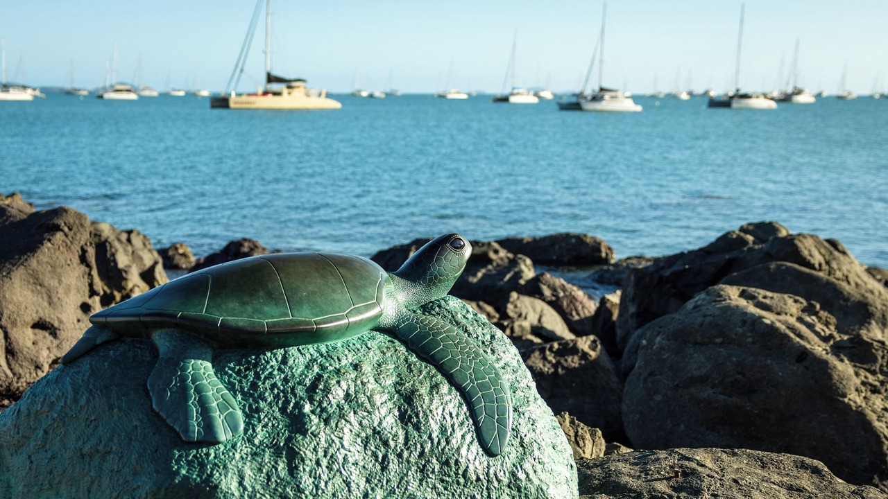Photo of Outdoor in Airlie Beach