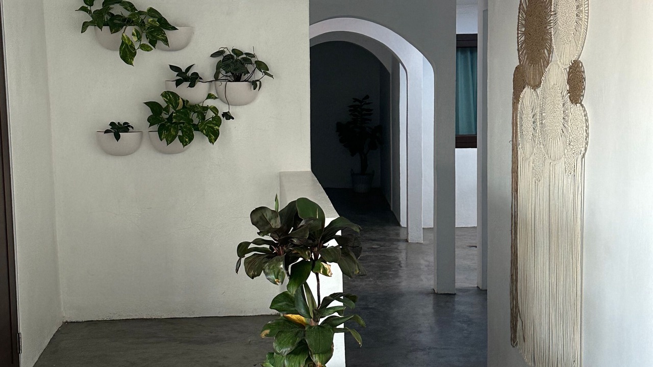 Photo of Others in La Parguera
