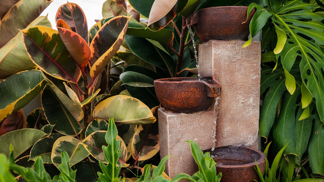Photo of Outdoor in La Parguera