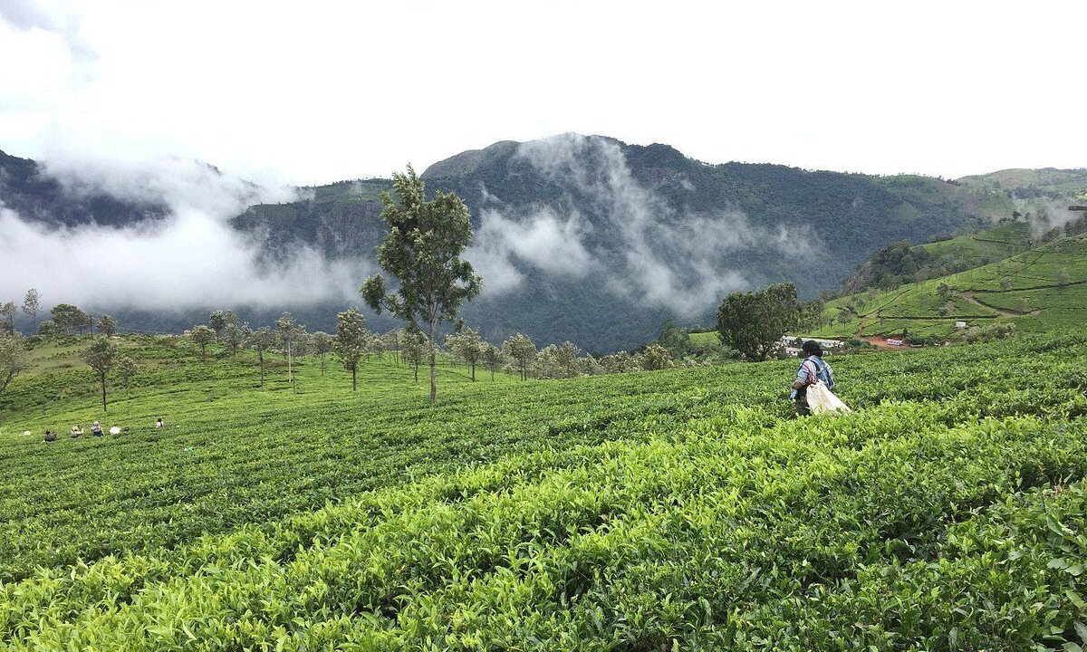 Photo of Outdoor in Coonoor