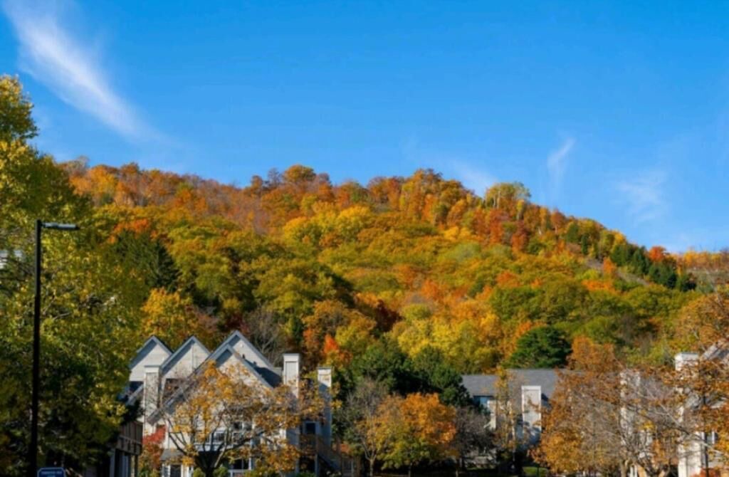 Photo of Outdoor in Craigleith