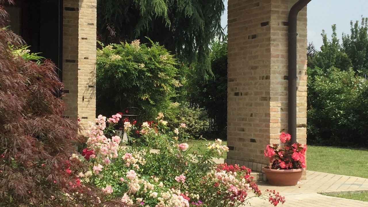 Photo of Outdoor in Pieve di Soligo