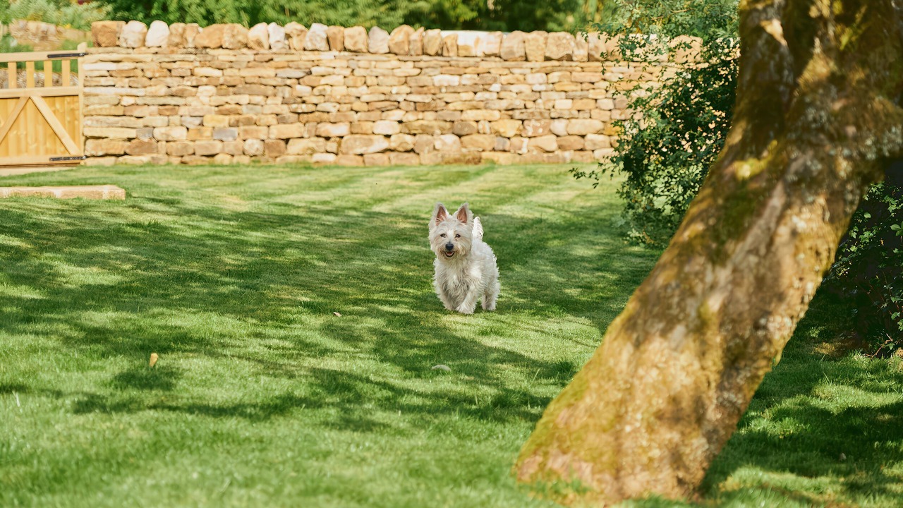 Photo of Others in Yockenthwaite