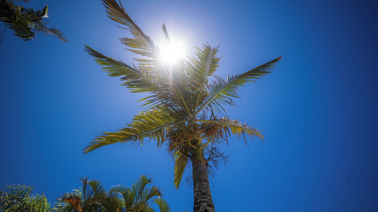 Photo of Outdoor in Guaratuba