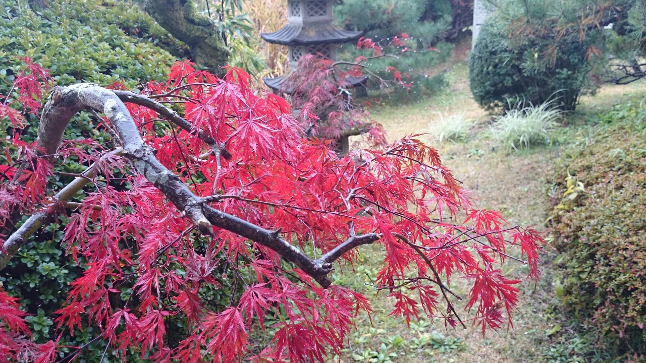 Photo of Outdoor in Higashiibaraki-gun