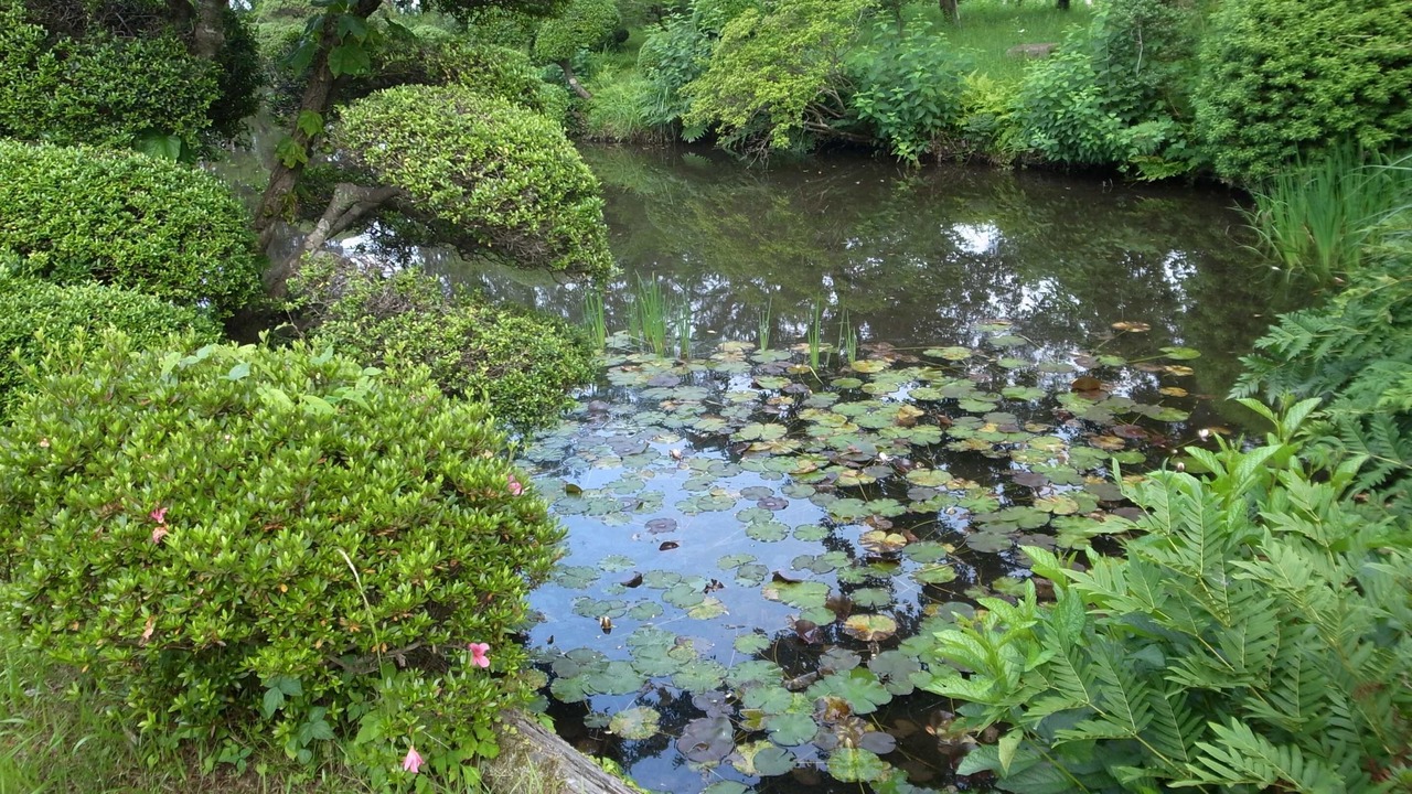 Photo of Outdoor in Higashiibaraki-gun