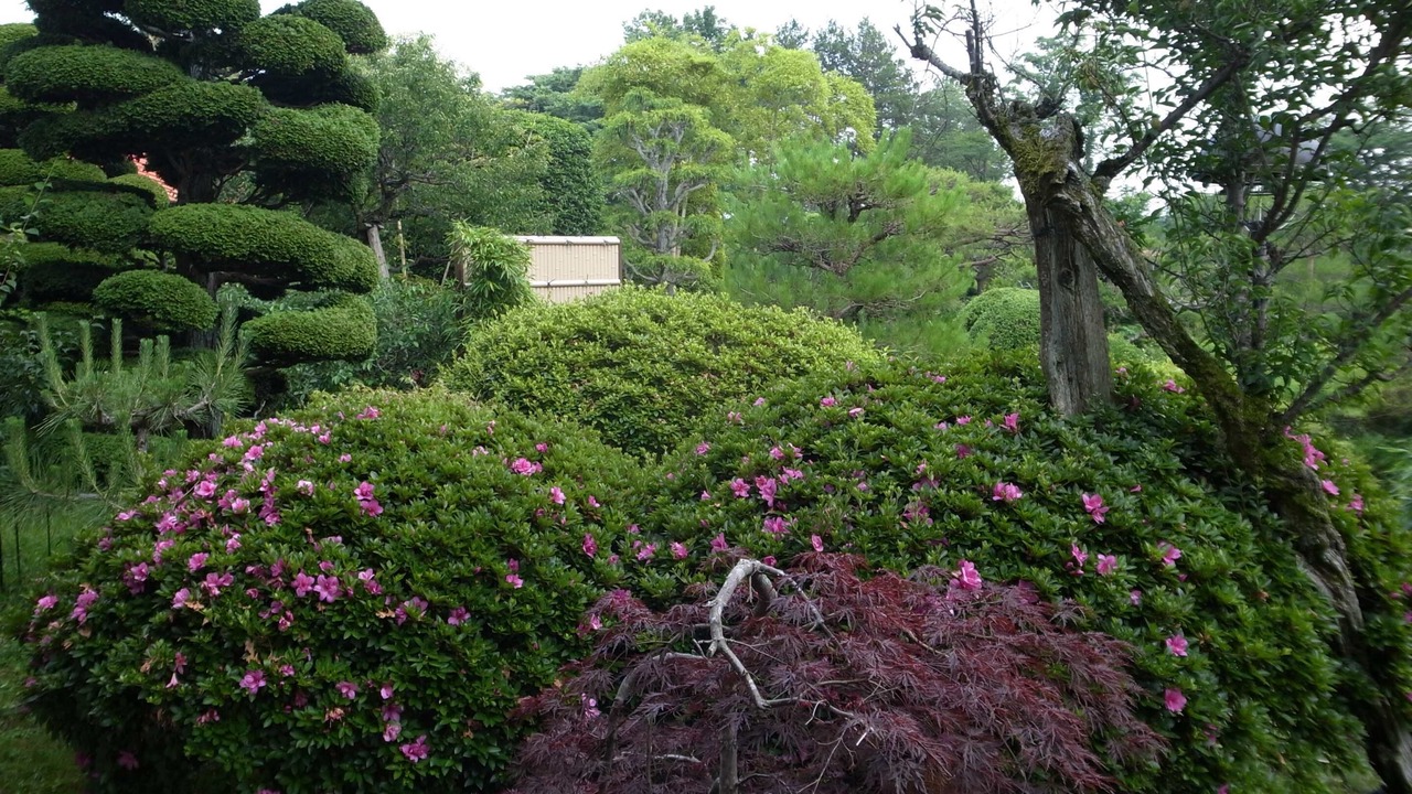 Photo of Outdoor in Higashiibaraki-gun