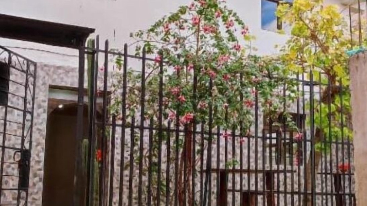 Photo of Outdoor in Cusco Historic Center
