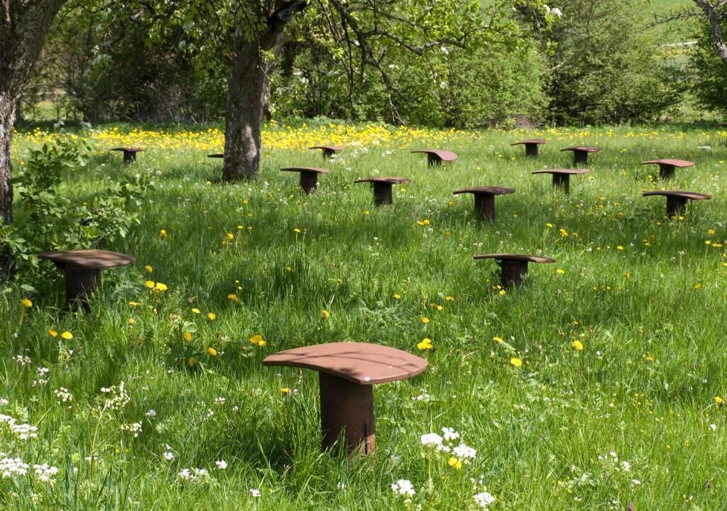 Photo of Others in Kaltbrunn