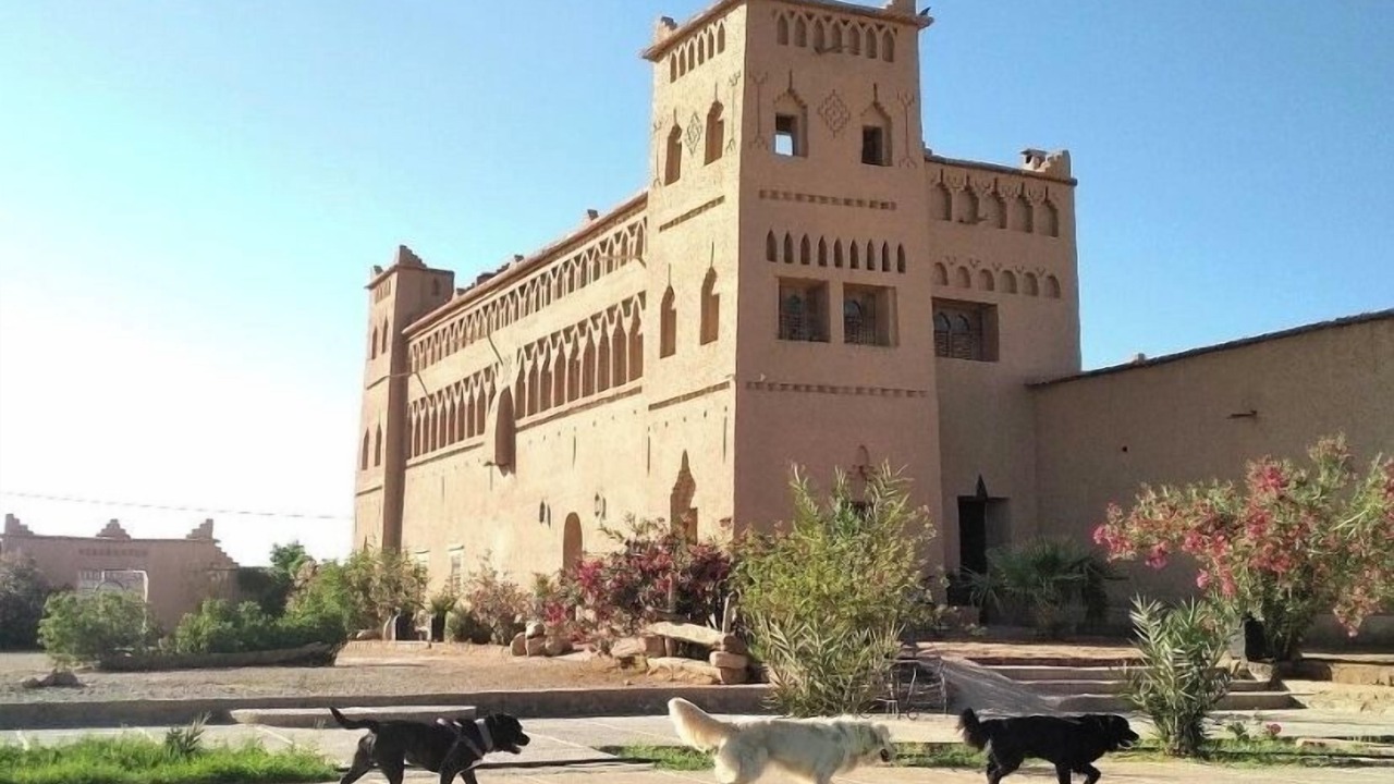 Photo of Outdoor in Skoura