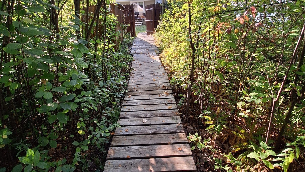 Photo of Outdoor in White Lake