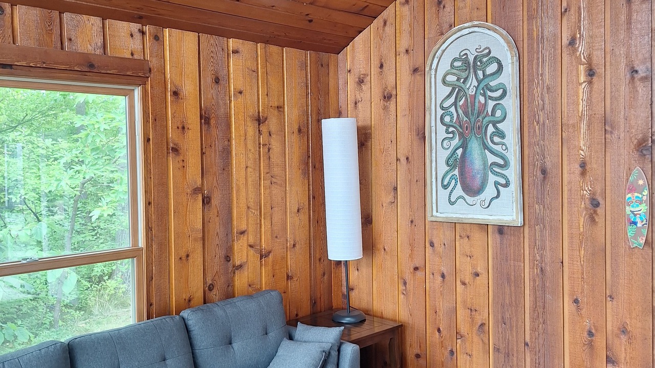 Photo of Livingroom in White Lake