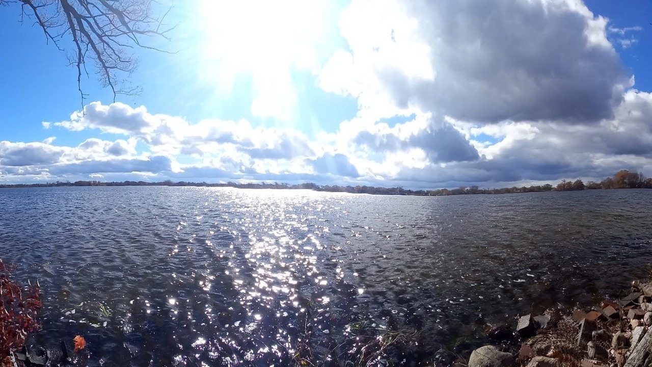 Photo of Others in White Lake