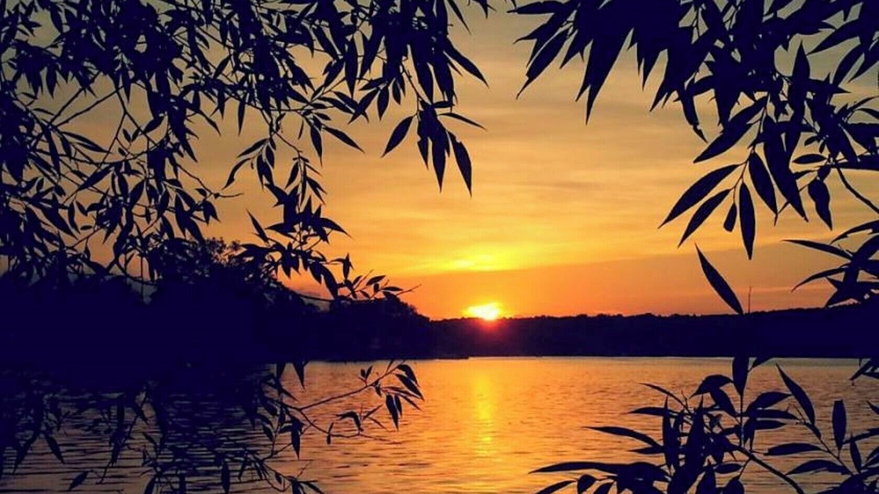Photo of Others in White Lake