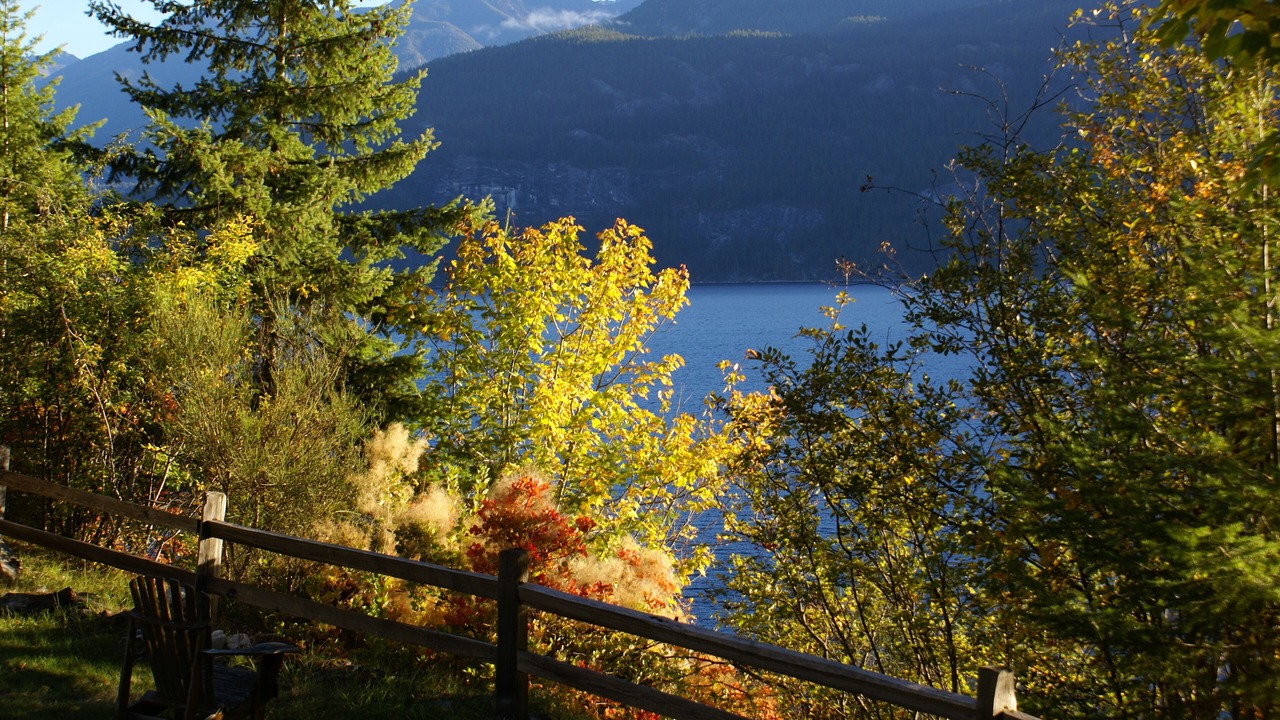 Photo of Others in Kaslo