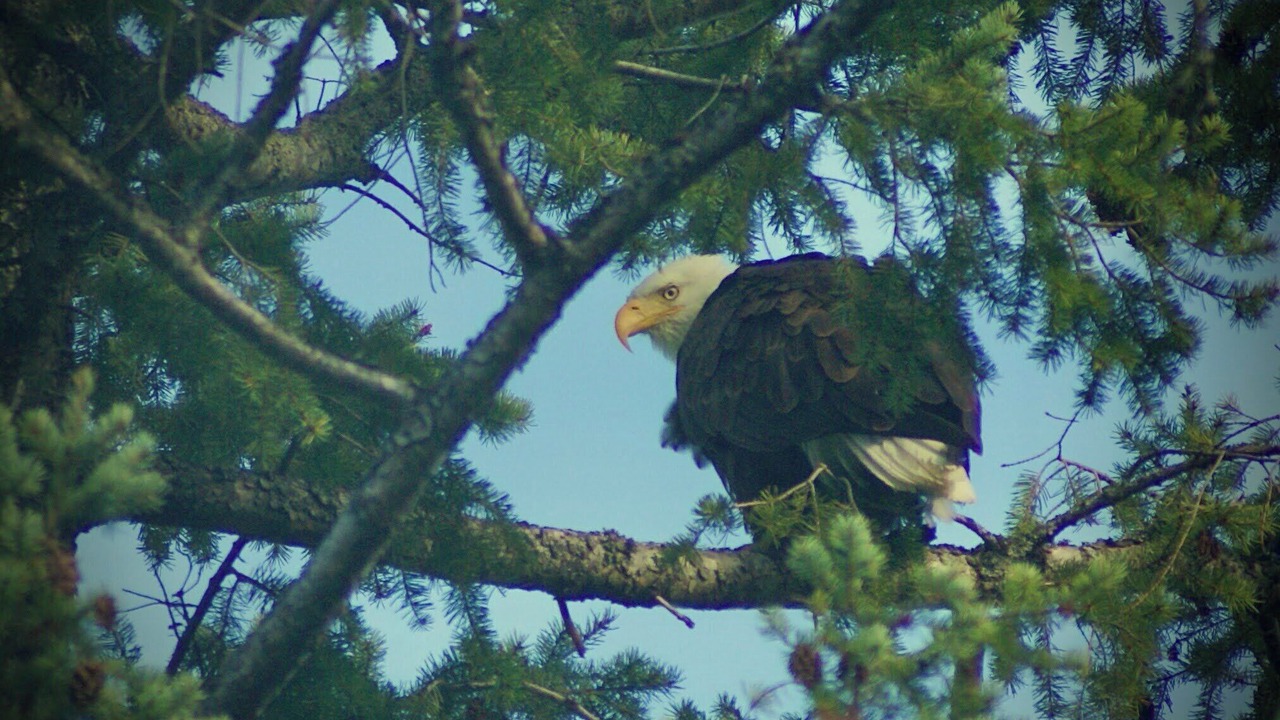 Photo of Others in Kaslo