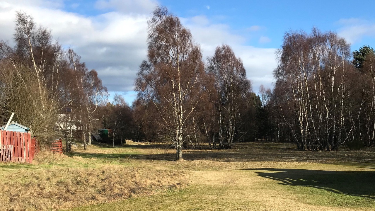 Photo of Outdoor in Aviemore