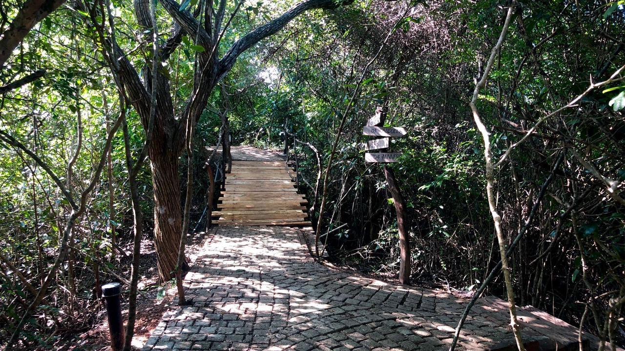 Photo of Outdoor in Talawila