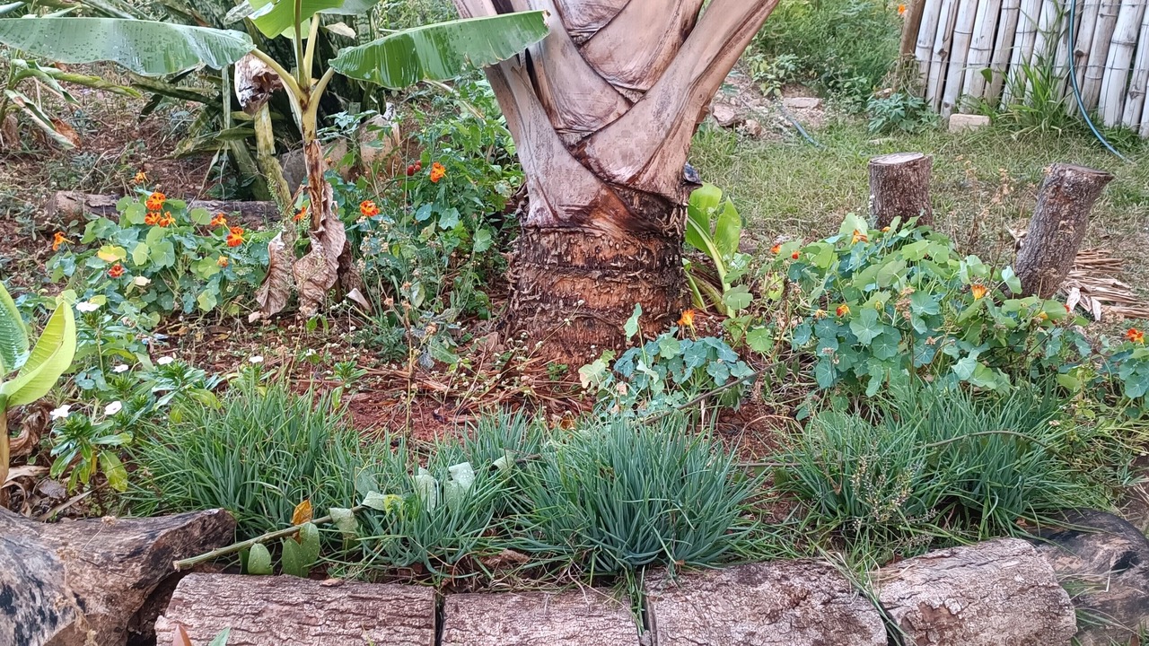 Photo of Outdoor in Lago Norte