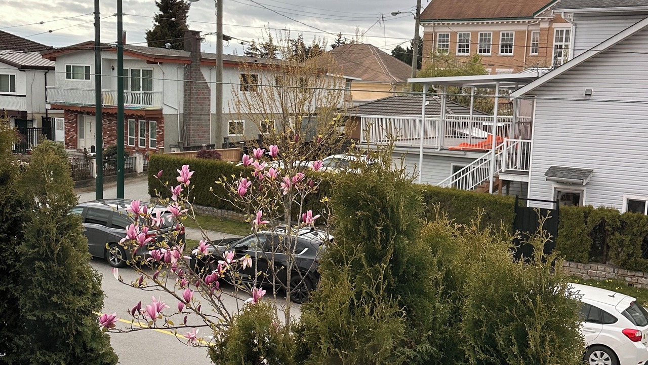 Photo of Outdoor in Fraserview