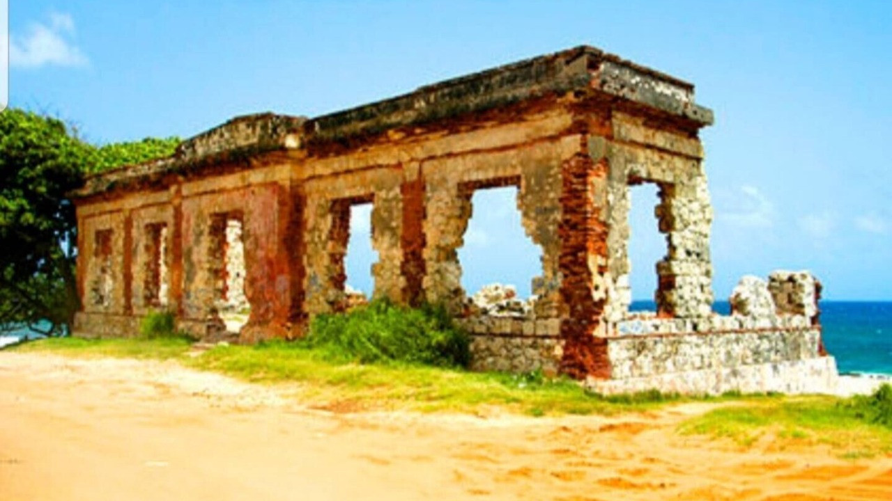 Photo of Others in Maleza Alta