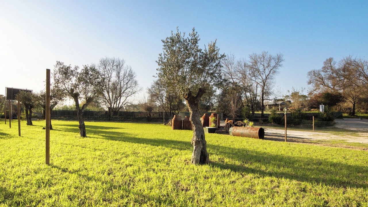 Photo of Outdoor in Coimbra