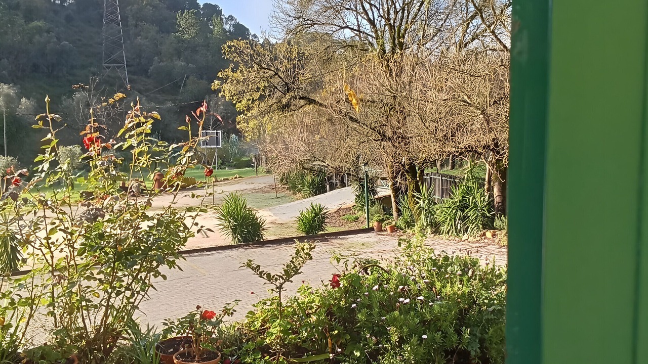 Photo of Outdoor in Coimbra